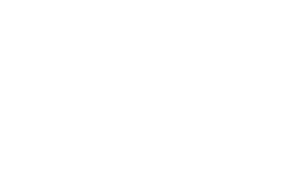 Wild Hart Paper